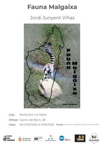 2026 03 01 Jordi Junyent Vinas Fauna Malgaixa Web